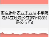 枣庄滕州农业职业技术学院是私立还是公立(滕州农院是公立吗)
