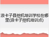 浪卡子县挖机培训学校在哪里(浪卡子挖机培训点)