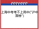 上海中考考不上高中("沪中落榜")