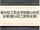 重庆轻工职业学院璧山校区实景(璧山轻工职院实景)