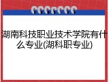 湖南科技职业技术学院有什么专业(湖科职专业)
