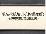 乐东挖机培训机构哪家好(乐东挖机培训优选)