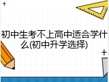 初中生考不上高中适合学什么(初中升学选择)