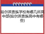 哈尔滨贵族学校有哪几所高中部(哈尔滨贵族高中有哪些)