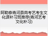 阿勒泰青河县高考艺考生文化课补习班推荐(青河艺考文化补习)