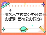 四川艺术学校是公办还是民办(四川艺校公办民办)
