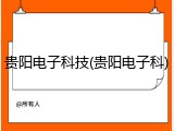 贵阳电子科技(贵阳电子科)