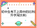 初中生考不上高中的比例(升学淘汰率)