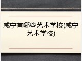 咸宁有哪些艺术学校(咸宁艺术学校)