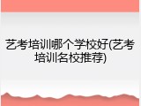 艺考培训哪个学校好(艺考培训名校推荐)