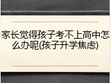 家长觉得孩子考不上高中怎么办呢(孩子升学焦虑)