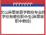 文山麻栗坡县学数控专业的学校有哪些职中生(麻栗坡职中数控)
