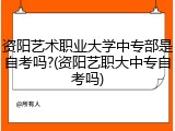 资阳艺术职业大学中专部是自考吗?(资阳艺职大中专自考吗)