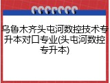 乌鲁木齐头屯河数控技术专升本对口专业(头屯河数控专升本)