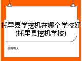 托里县学挖机在哪个学校好(托里县挖机学校)