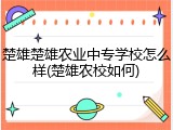 楚雄楚雄农业中专学校怎么样(楚雄农校如何)