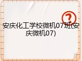 安庆化工学校微机07班(安庆微机07)
