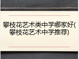 攀枝花艺术类中学哪家好(攀枝花艺术中学推荐)