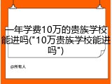 一年学费10万的贵族学校能进吗("10万贵族学校能进吗")