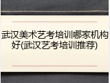 武汉美术艺考培训哪家机构好(武汉艺考培训推荐)