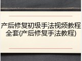产后修复初级手法视频教程全套(产后修复手法教程)
