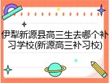 伊犁新源县高三生去哪个补习学校(新源高三补习校)