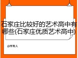 石家庄比较好的艺术高中有哪些(石家庄优质艺术高中)