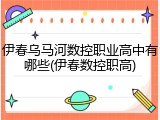 伊春乌马河数控职业高中有哪些(伊春数控职高)