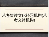 艺考复读文化补习机构(艺考文补机构)
