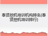 奉贤挖机培训机构排名(奉贤挖机培训排行)