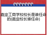 嘉定工商学校校长是谁任命的(嘉定校长谁任命)