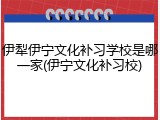 伊犁伊宁文化补习学校是哪一家(伊宁文化补习校)