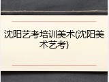 沈阳艺考培训美术(沈阳美术艺考)