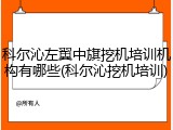 科尔沁左翼中旗挖机培训机构有哪些(科尔沁挖机培训)