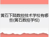 黄石下陆数控技术学校有哪些(黄石数控学校)
