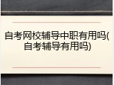 自考网校辅导中职有用吗(自考辅导有用吗)