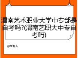 渭南艺术职业大学中专部是自考吗?(渭南艺职大中专自考吗)