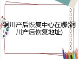 铜川产后恢复中心在哪(铜川产后恢复地址)