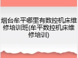 烟台牟平哪里有数控机床维修培训班(牟平数控机床维修培训)