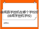 徐闻县学挖机在哪个学校好(徐闻学挖机学校)