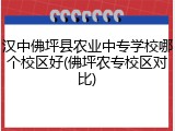 汉中佛坪县农业中专学校哪个校区好(佛坪农专校区对比)