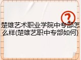 楚雄艺术职业学院中专部怎么样(楚雄艺职中专部如何)