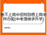 考不上高中但特别想上高中咋办呢(中考落榜求升学)