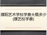 濮阳艺术学校学费大概多少(濮艺校学费)