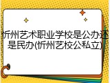 忻州艺术职业学校是公办还是民办(忻州艺校公私立)