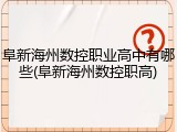 阜新海州数控职业高中有哪些(阜新海州数控职高)