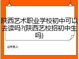 陕西艺术职业学校初中可以去读吗?(陕西艺校招初中生吗)