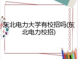 东北电力大学有校招吗(东北电力校招)