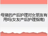 母猪的产后护理对女朋友有用吗(女友产后护理指南)