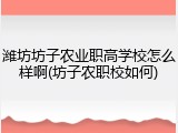 潍坊坊子农业职高学校怎么样啊(坊子农职校如何)